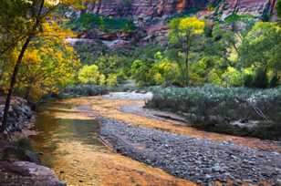 Zion, Fall color-4642.jpg Zion, Fall color-4642.jpg